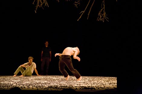 skupina Daniela Abreua: Animal