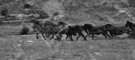 Babine suze, autorica Marija Šćekić