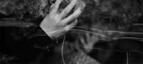 Babine suze, autorica Marija Šćekić