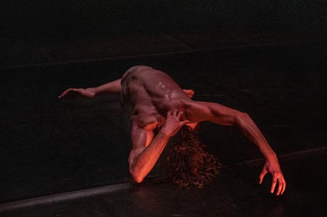 Bi-polar B(e)ar/e, kor. Marin Lemić, foto: Nika Petković