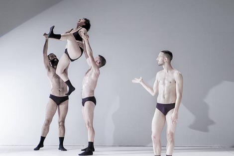 Zebra: Graces, kor. Silvia Gribaudi, foto: silviagribaudi.com