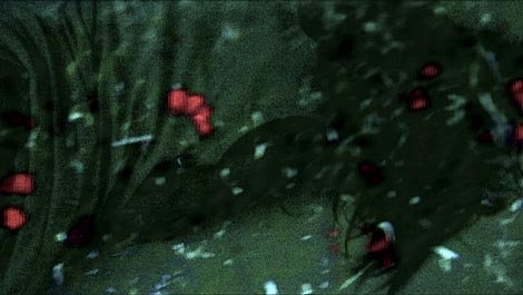 Izvana, autorica Liliana Resnick