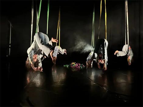 Triko Cirkus Teatar: Kamioninđe