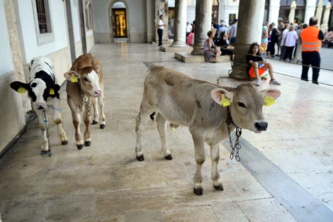 Šikuti Machine: Krasna zemlja, foto: arhiv PUF-a