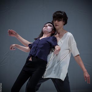 Integrirani kolektiv za istraživanje pokreta, Magnolija (ili prkos) 