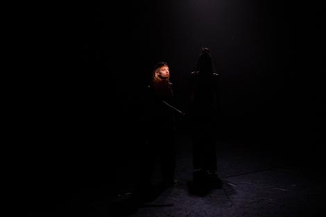 Plešimedo, Zagreb: Meduza, koreografija Zrinka Lukčec Kiko, ZPC, Zagreb