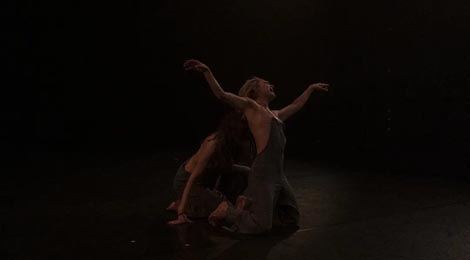 Plešimedo, Zagreb: Meduza, koreografija Zrinka Lukčec Kiko, ZPC, Zagreb