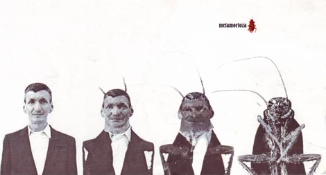 Metamorfoza, autorica Nataša Lušetić