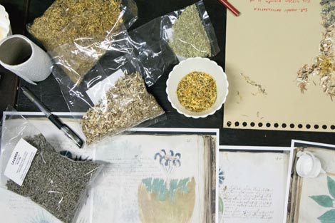 Nikolina Butorac: radionica Prirodni anestetici. 18. Performance Art Festival, Osijek, 2018. foto: Andrea Knezović