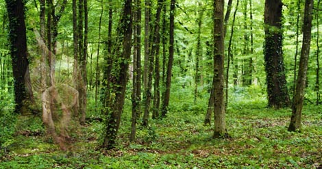 Novi horizonti</em>, autorica Martina Nevistić Vukobrat, foto: Luka Matić