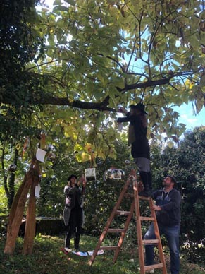 Nataša Hrust i Martina Benić: Priča o putujućim katalpama