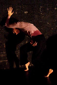 Udar, autorica Ana-Maria Bogdanović